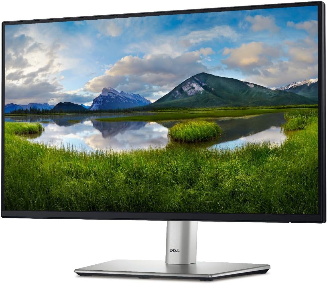 Dell P2422H LED monitor 24